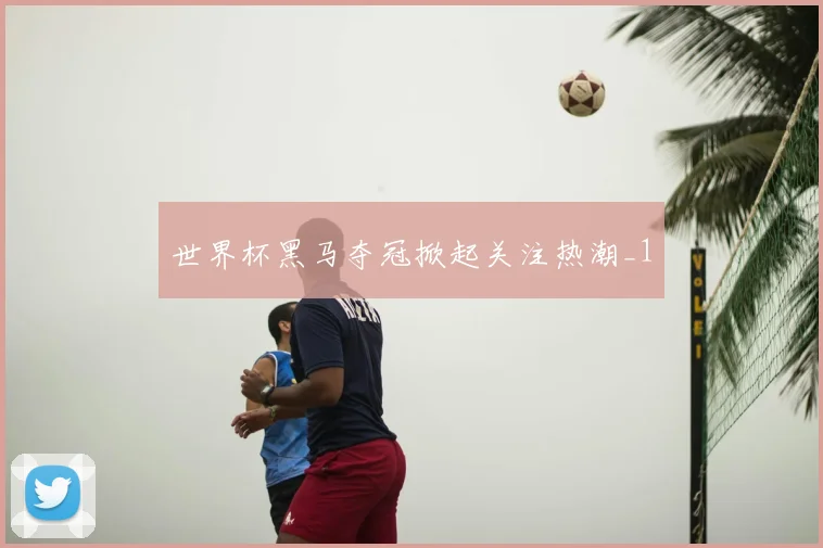 世界杯黑马夺冠掀起关注热潮_1