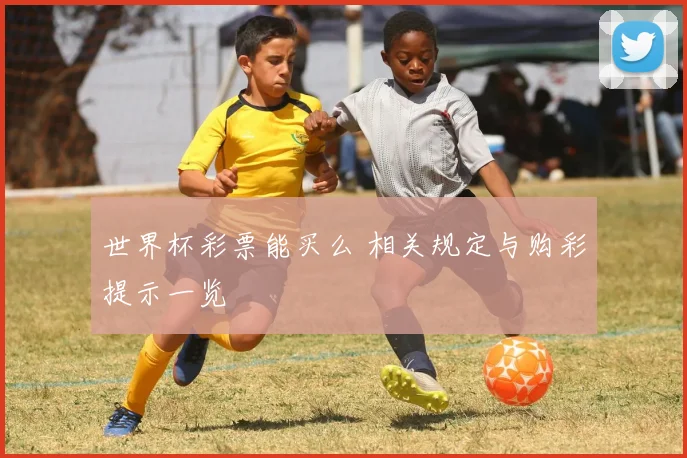 世界杯彩票能买么 相关规定与购彩提示一览