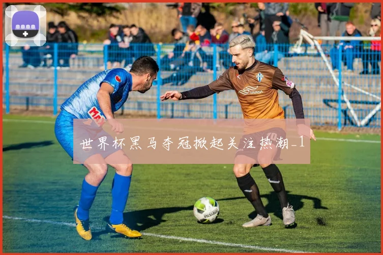 世界杯黑马夺冠掀起关注热潮_1