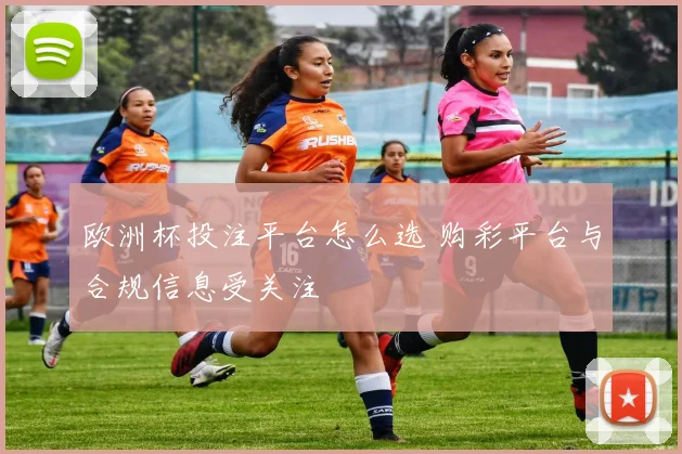 欧洲杯投注平台怎么选 购彩平台与合规信息受关注